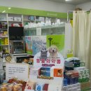 선한약국 이미지