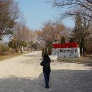 씨유춘천샘밭대로점 | 춘천시 한달살이 여행 14일째 날 정리