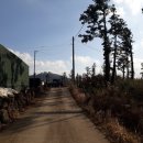 동일리-6 이미지