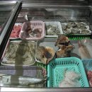 그포장마차 이미지