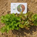 아양농장 이미지