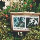 봉평농장 이미지