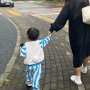 (주)핑크소울 | 10월 넷째주 / 친구들 만나기💐제목없음