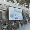 호미 베이커리 이미지