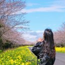 대흘보건진료소 이미지