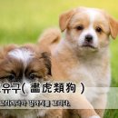 강아지 그리다 Daum카페