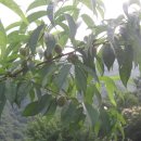 심심산골 이미지