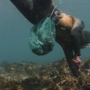 물꽃정원 이미지