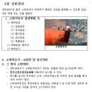 행정용 9 이미지