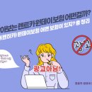원데이카
