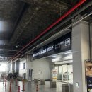 롯데마트충주점 | [롯데마트 충주점] 반려견과 함께 장보기