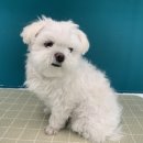 킨더그루밍 이미지