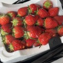 드림아인스빌마트 | 다시 출근하는 일상💼