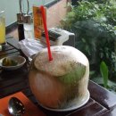 다바오 열대과일 - 코코넛 이미지