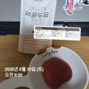 배부른 고양이 | 냥미새가 생일날 가는 곳-영흥도 고양이역 후기_26.04.18 운동,식단