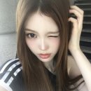 정세비헤어