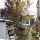 사파동114 이미지