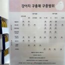 정자현대동물병원 이미지