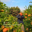 서광리-12 이미지