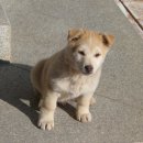 낙동강학생수련원 이미지