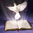 은사목장 이미지