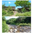 흥정계곡 409 이미지