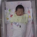 맘스 산후조리원 | 울산 맘스 산후조리원 2주 이용 후기(식사,마사지,시설,가격)