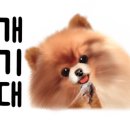 바디핏디자인짐 이미지