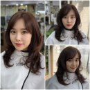 커트와 파마 이미지