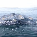 CW-2112-01 이미지