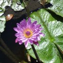 시간을 즐기다 이미지