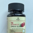 루틴웰
