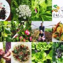 준혁농장 이미지