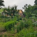 행복한마실농장 이미지