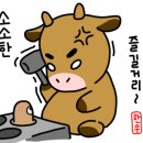 눈꽃등심