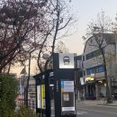 10월의비건테이블 | [부천 맛집] 분위기 좋은 비건 레스토랑 10월의 비건 테이블 추천 후기💚