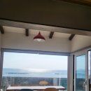 신천코지 이미지