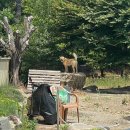 선산생곡묵집두부촌 이미지