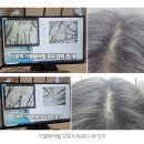 산본프라자 | 산본두피관리샵 가엘헤어랩, 산본 헤드스파 후기