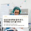 간호과정과비판적사고 | 임상간호대학원 합격 후기 — 막막했던 내가 붙기까지(ft. 3년차 간호사)