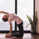 하타요가 이미지