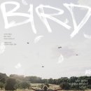 안드레아청소년의집 | 개봉! | 칸 초청작, 안드레아 아놀드 감독의 황홀한 성장 영화 (줄거리, 배리 키오건, 평점 후기 총정리)