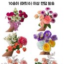 주희꽃 | 꽃정기구독 | 공릉동 꽃집 | 주희꽃
