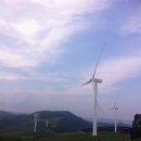 다리골목장 | 인제맛집 용대리 다리골식당에서 황태구이 냠냠