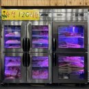 신월동120 이미지