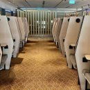 Blossom | [싱가포르/라운지] 블라썸 라운지 (Blossom) 후기 (창이공항 T4 터미널 / PP카드, 더라운지키 무료)