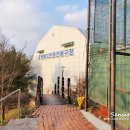 동백산오름공원 게이트볼장 이미지