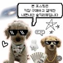 2010 | 피코그램 퓨리얼 PPA-2010 화이트 내돈내산 후기 렌탈 없이 사용한 직수 냉정수기
