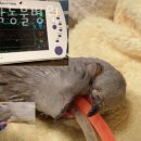 북악동물병원 이미지