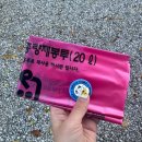 [제천캠핑] 할로윈에 진심이었던 뷰 맛집 제천캠핑장 &#34;엉클캠프&#34;후기/불멍,사이트배치도